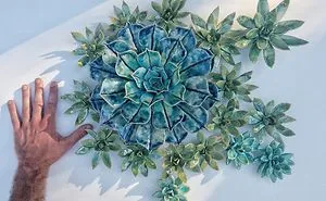 I Grow Succulents From Clay And Porcelain