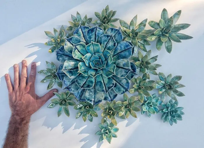 I Grow Succulents From Clay And Porcelain