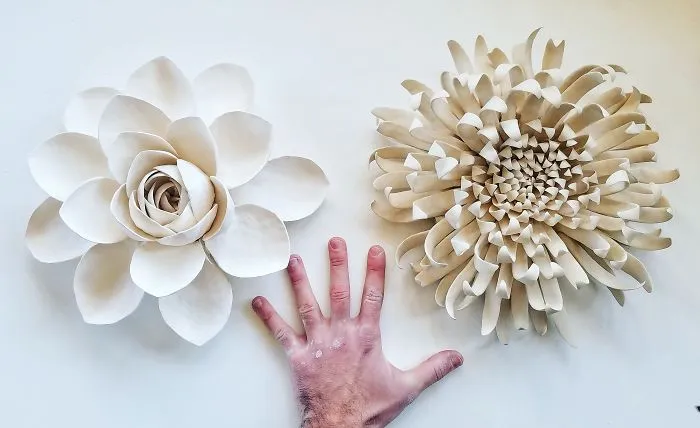 I Grow Succulents From Clay And Porcelain