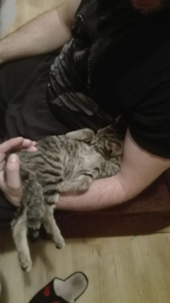 Melted In Her Sleep