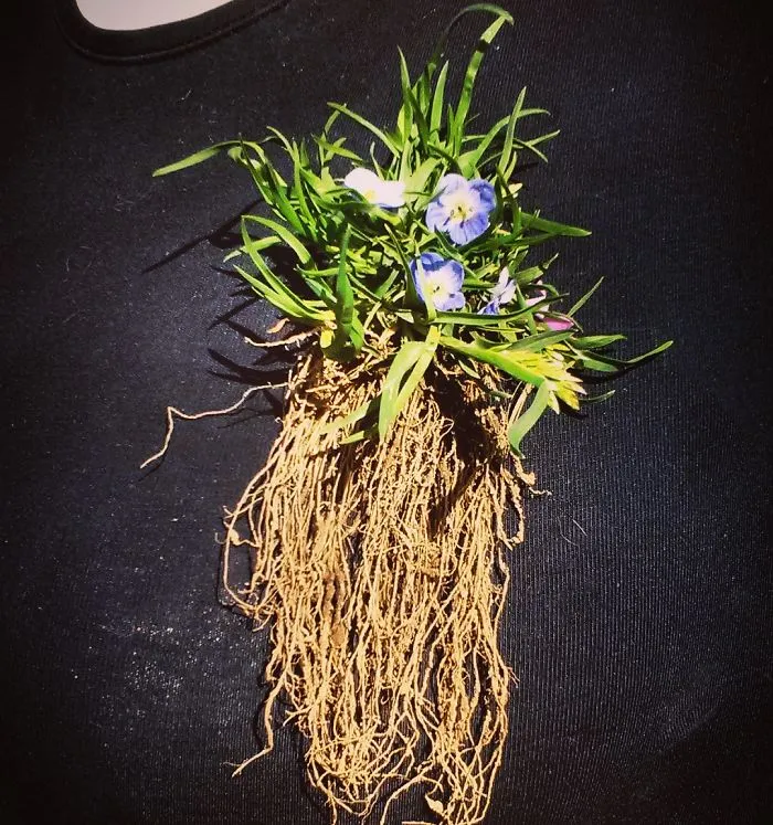 Weed Brooch