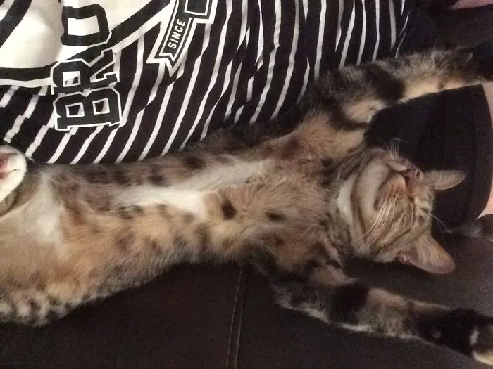 Melting In The Heat