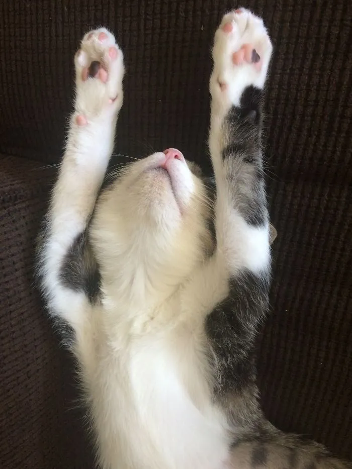 I'm Meeelllllllltttttiiiinnnnggggg!!!