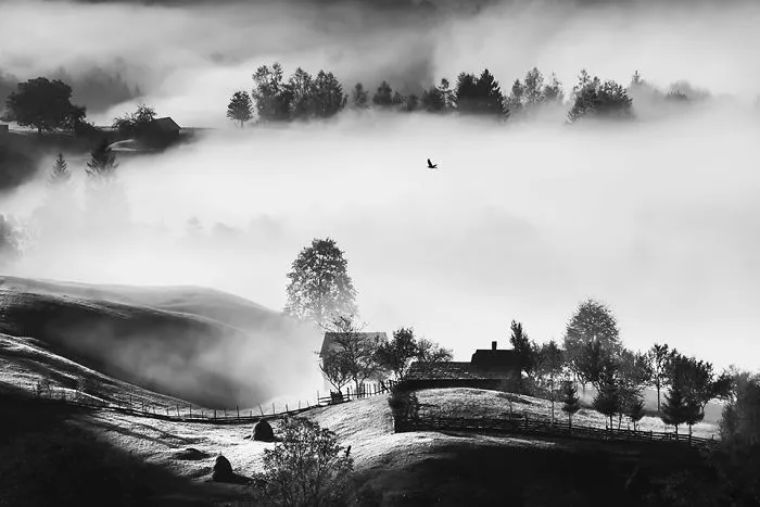 Magic Morning