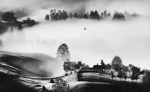 Magic Morning