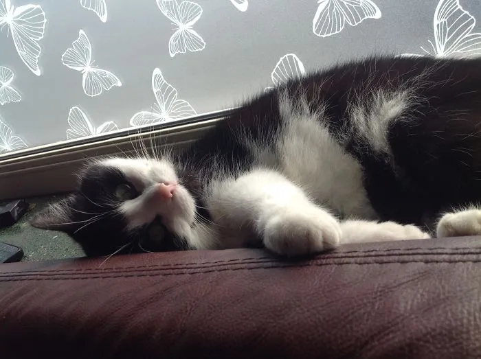 Melting In The Sun