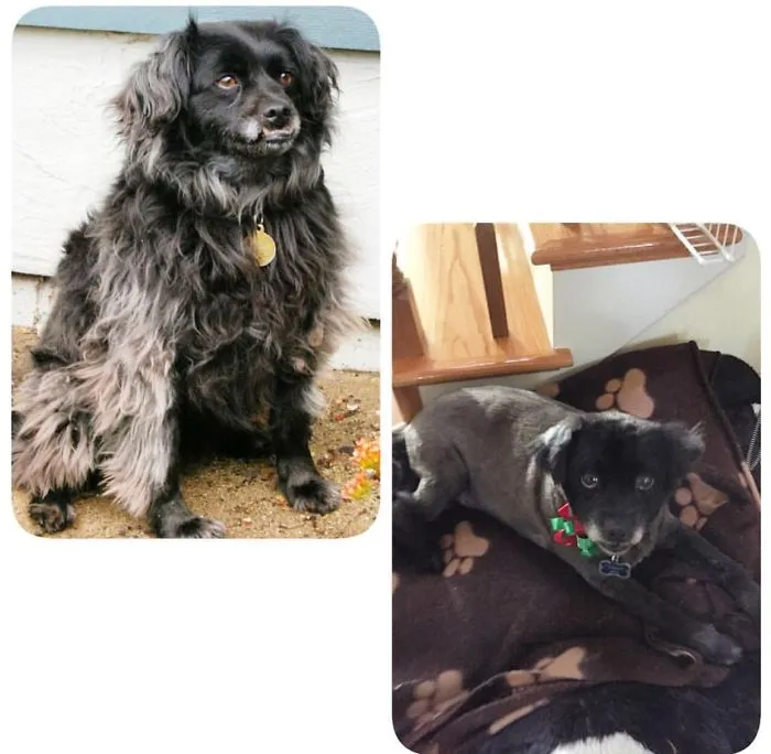 Him At 5 Years Old Vs Him At 12 Years Old When He Got A Short Cut