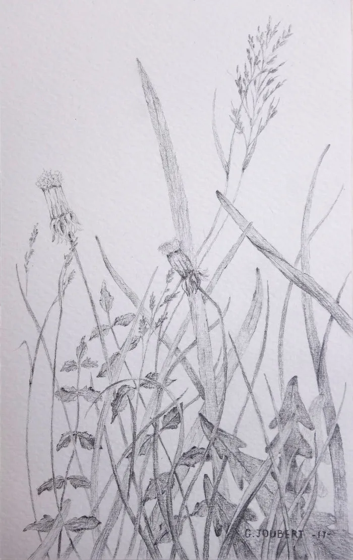 I'm Drawing My Way To Budapest