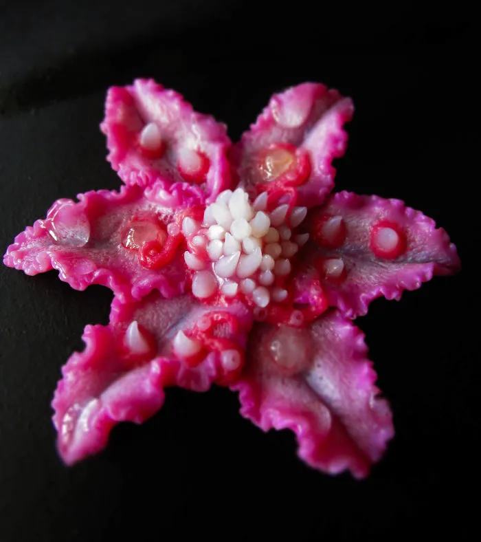 I Create Jewelry That Wants To Eat You