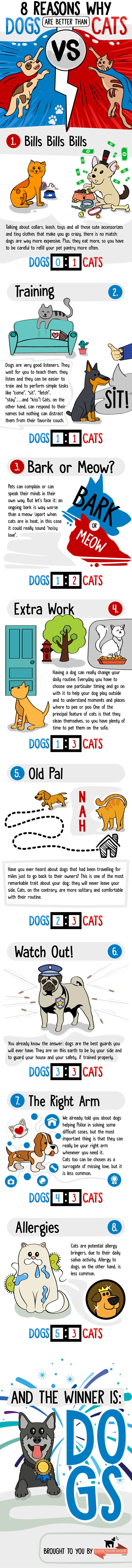 [infographic]8 Reasons Why Dogs Are Better Than Cats