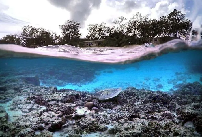 Lady Elliot Island, Queensland, Australia