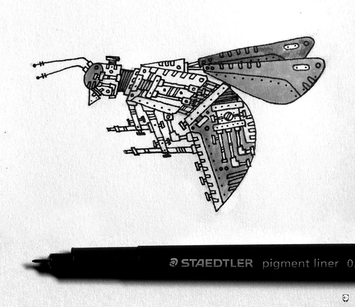 Wasp War Fly
