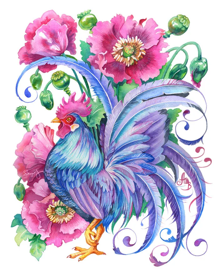 Blue (water) Rooster