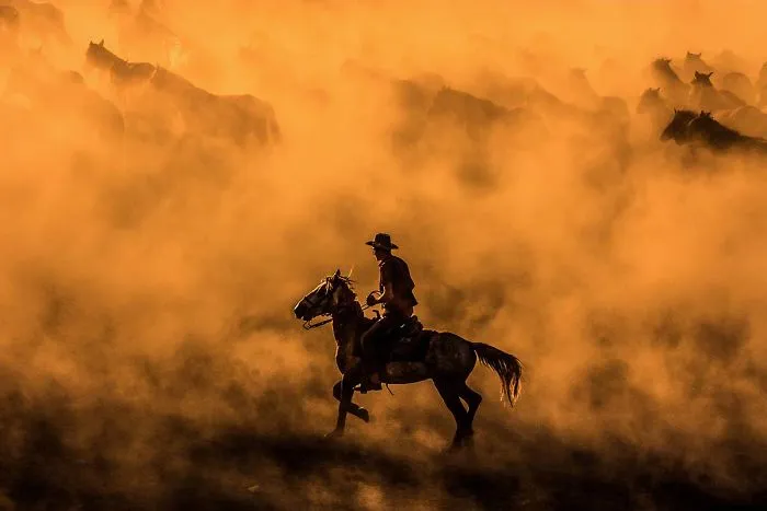 Oktay Subasi, Turkey (Open Competition, Motion)