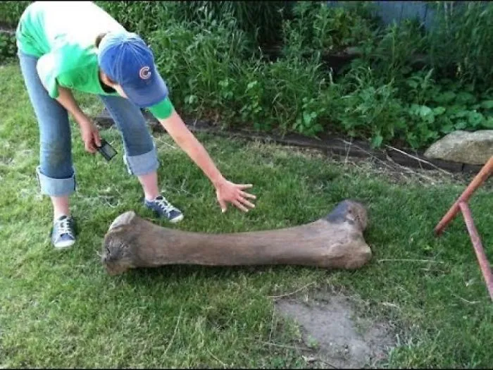 Small Town Family Discovers An Incredible Ice Age Era Find In Their Own Backyard
