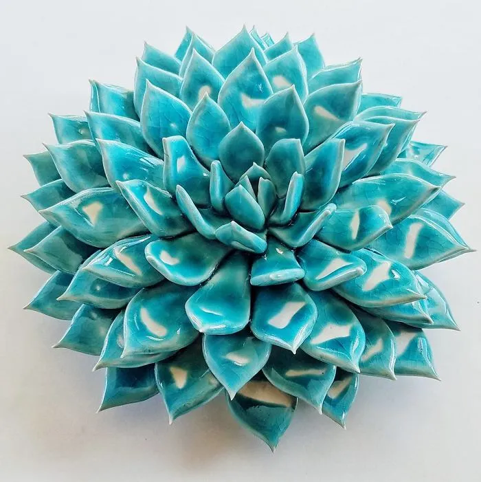 I Grow Succulents From Clay And Porcelain