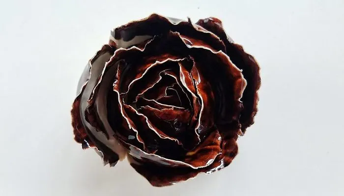 I Grow Succulents From Clay And Porcelain