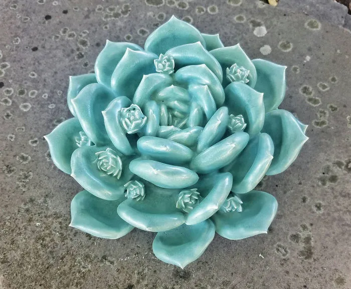 I Grow Succulents From Clay And Porcelain