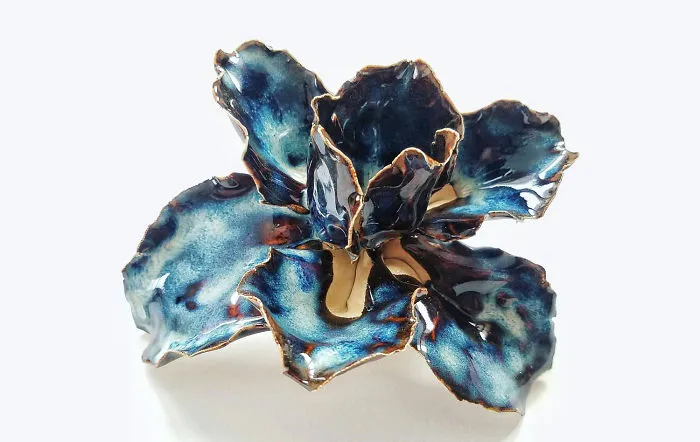 I Grow Succulents From Clay And Porcelain