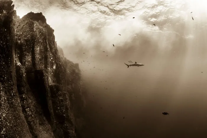 Christian Vizl, Mexico (Professional, Natural World)
