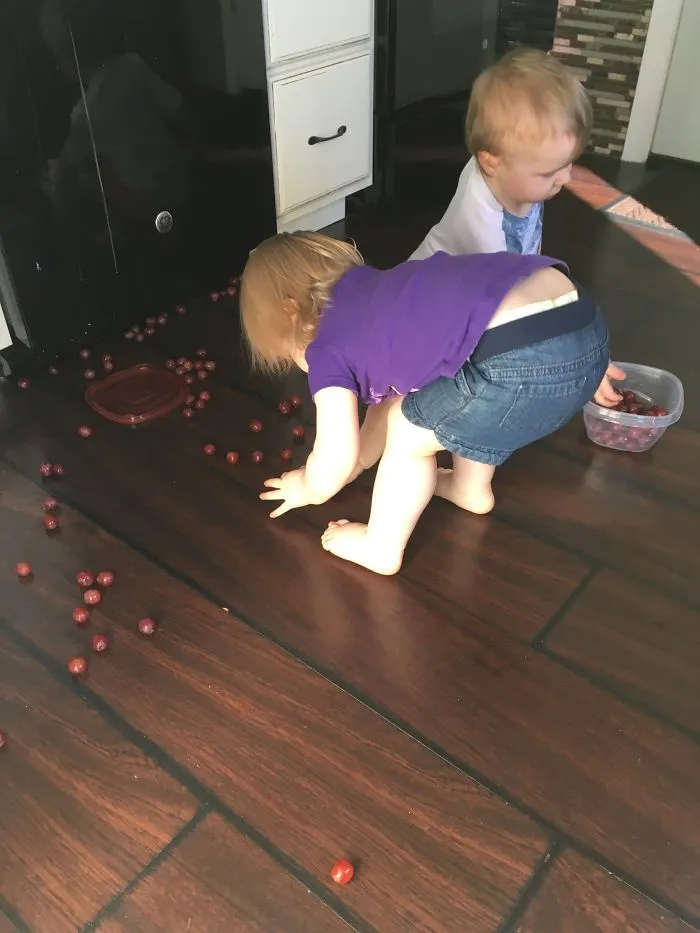 I Leave The Kitchen For One Second...