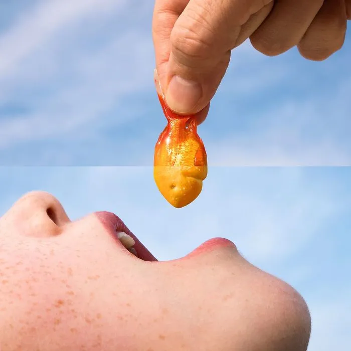 Unexpected And Hilarious Photography Mashups