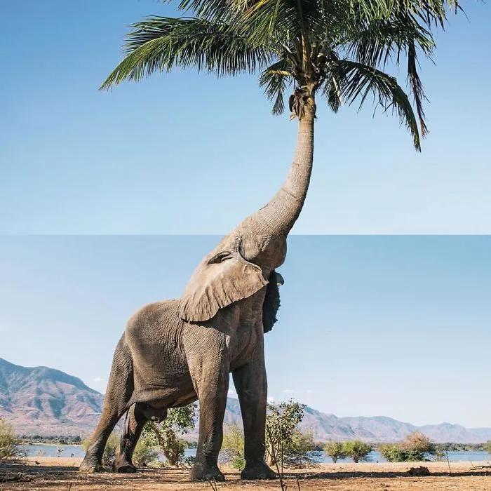 Unexpected And Hilarious Photography Mashups