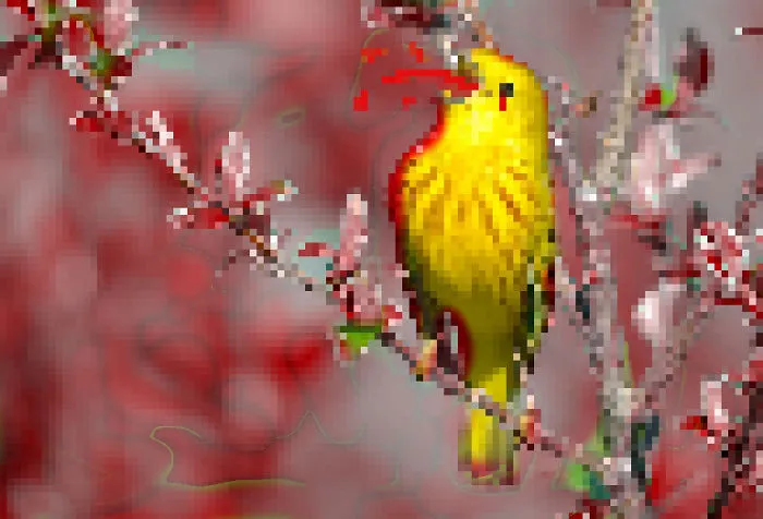 8 Bit Bloody Bird!
