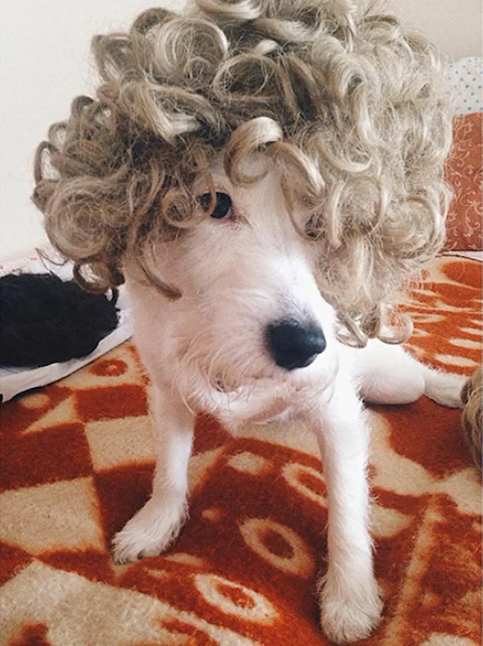 Zoja's New Hair