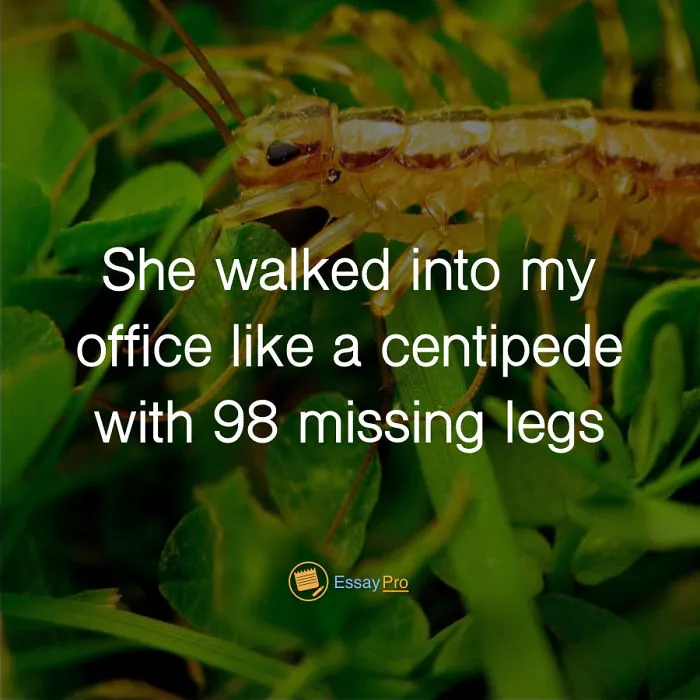 10 Hilarious English Essay Quotes That Will Make You Laugh