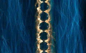 I Painted With Light Brancusi Sculptures