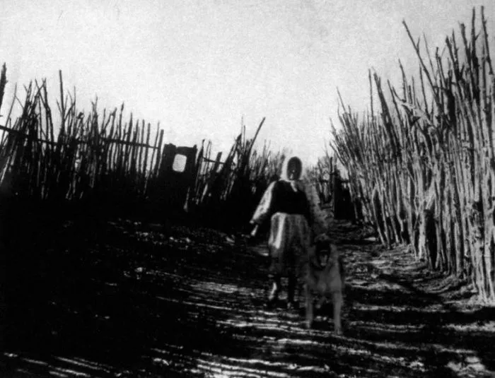 Teod | 13 Viral Photos - Fact Or Fiction