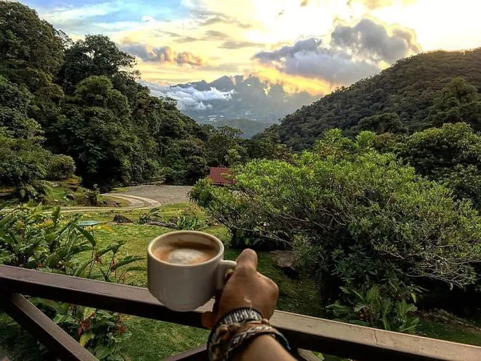 Take a picture of your favourite place to have your cup of joe
