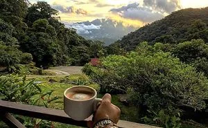 Take a picture of your favourite place to have your cup of joe