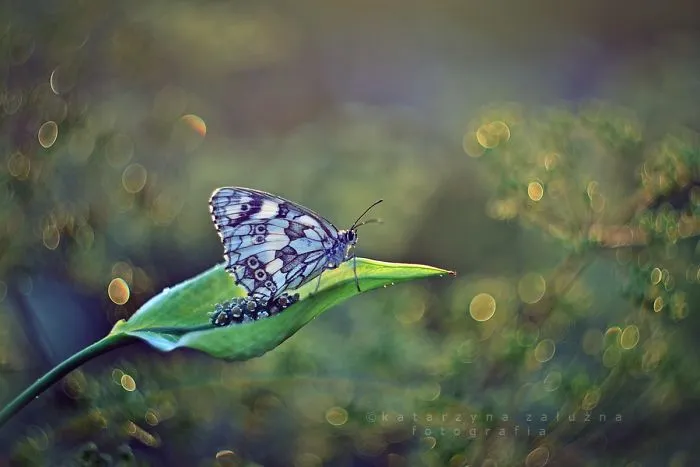 In Resting