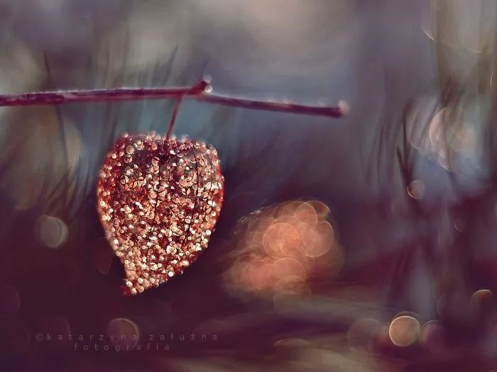 Diamond Heart