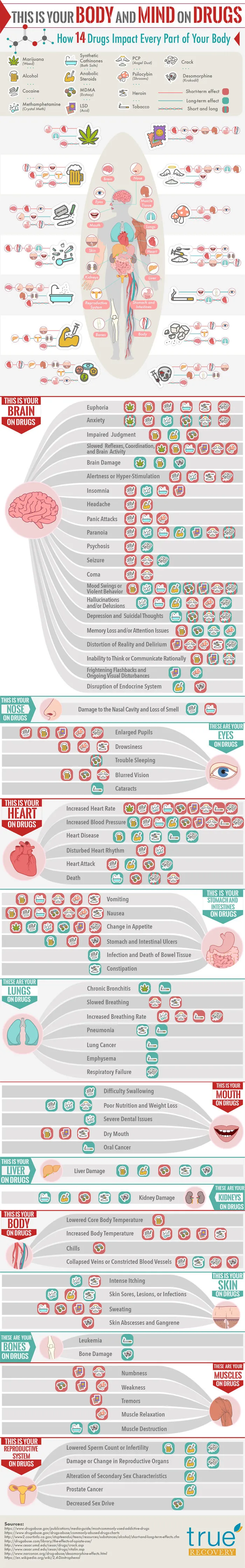 How Different Drugs Impact Your Brain And Your Body