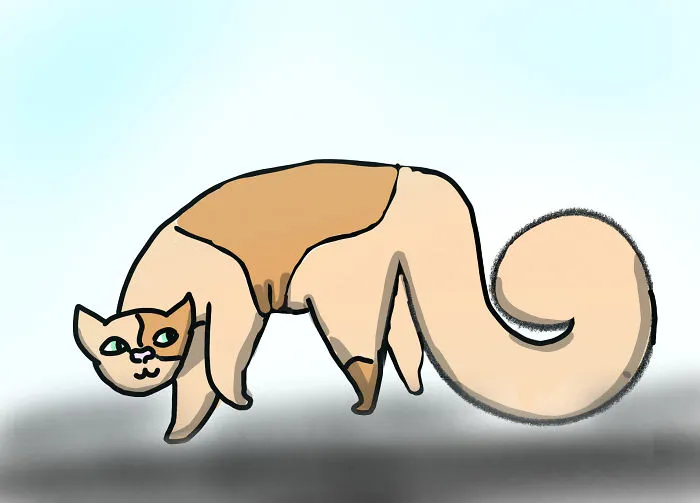 The Sneaky Cat
