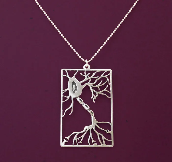Multipolar Neuron