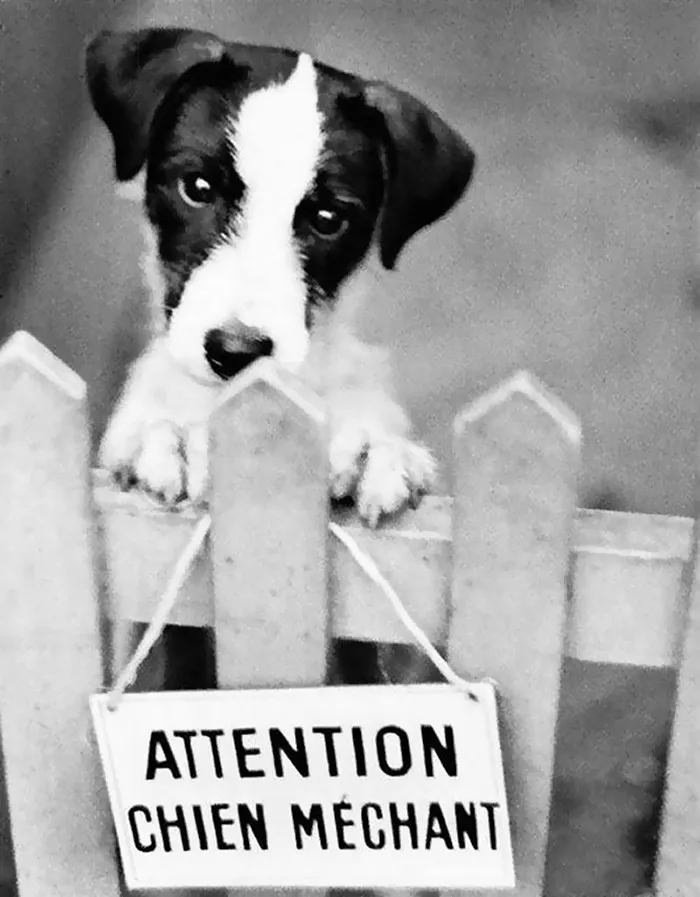 68 Humorous Street Photos From 1950s France By René Maltête