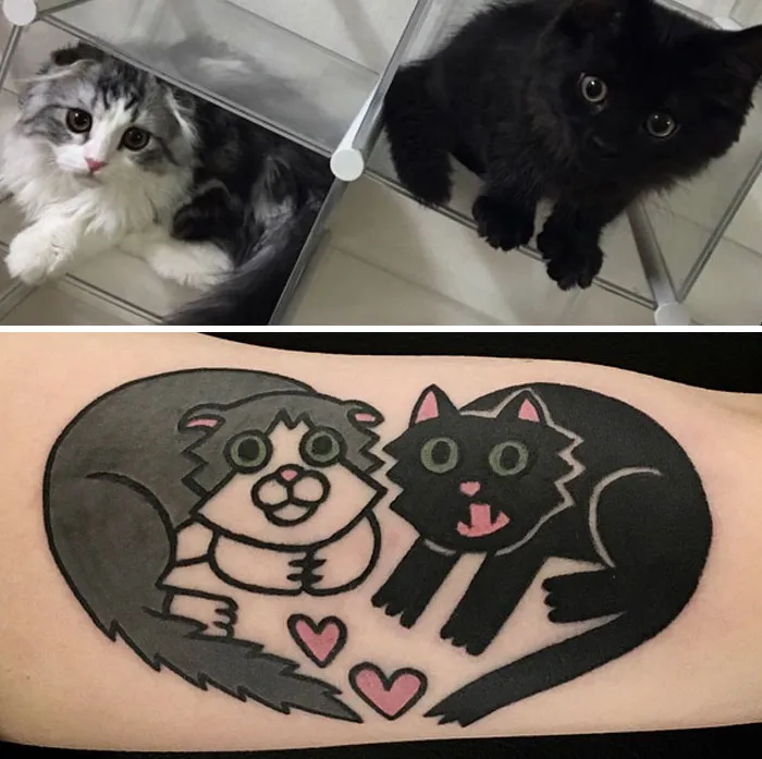 Purrfect Pairings