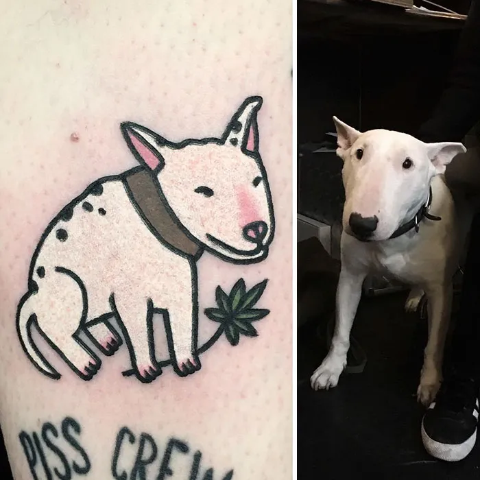Spot the Real Deal