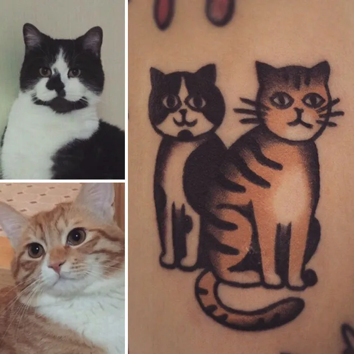 Whisker Wonders 