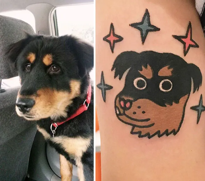 Pet Portraits Gone Quirky