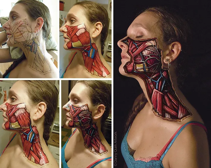 Realistic Anatomical Paintings Reveal The Structures That Lie Beneath Our Skin