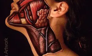 Realistic Anatomical Paintings Reveal The Structures That Lie Beneath Our Skin