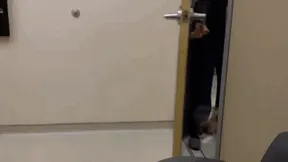 Formerly Blind Dog Sees Owners For The First Time