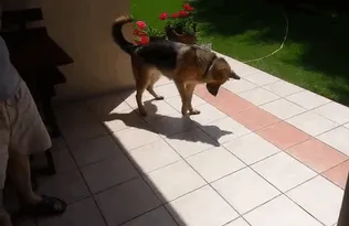 Descubriendo su sombra
