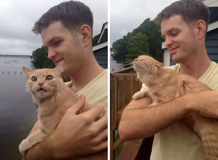 Kiwi's First Time Outside