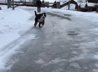 Su 1ª vez con hielo